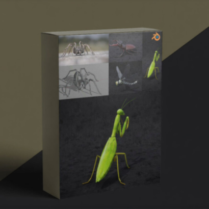 Insect And Spiders Creation Full Course