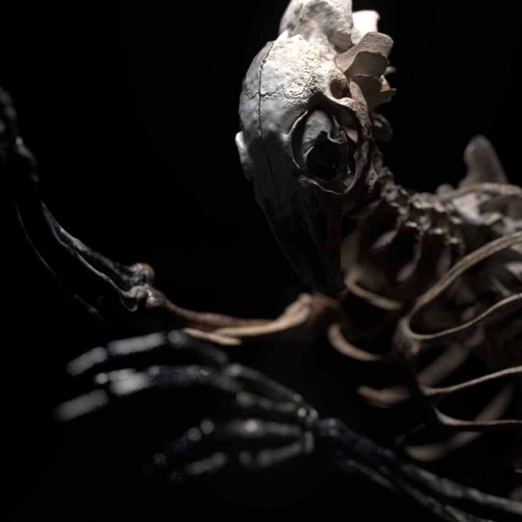 Monster Animation Roorkee