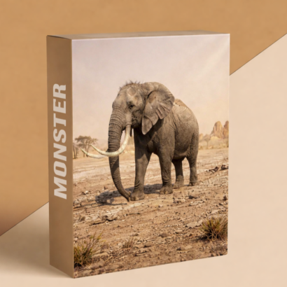 Animate an Elephant Walk Cycle in Maya